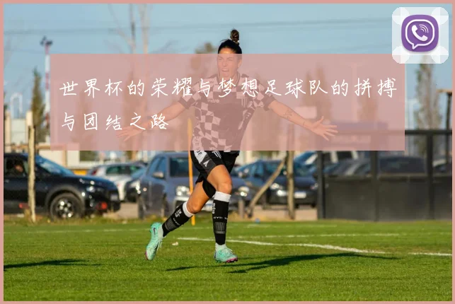 世界杯的荣耀与梦想足球队的拼搏与团结之路