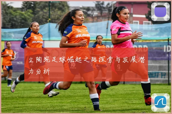 立陶宛足球崛起之路探索与发展潜力分析