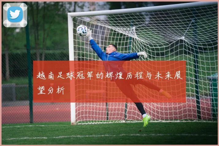 越南足球冠军的辉煌历程与未来展望分析