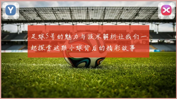 足球5号的魅力与技术解析让我们一起探索这颗小球背后的精彩故事