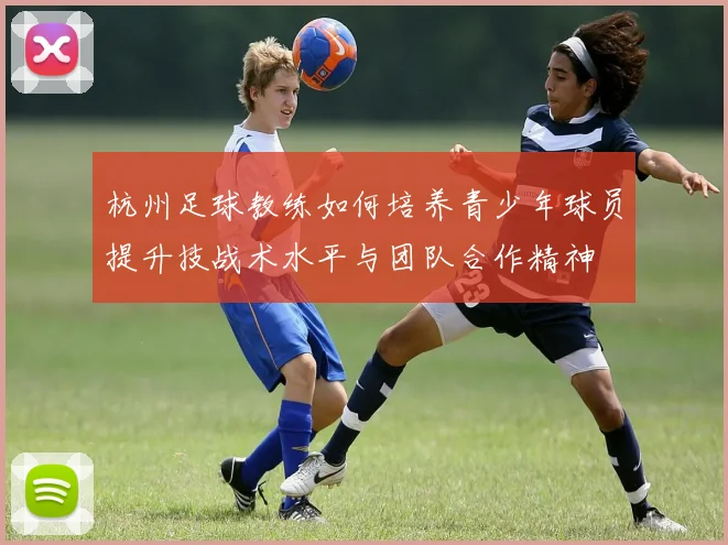杭州足球教练如何培养青少年球员提升技战术水平与团队合作精神