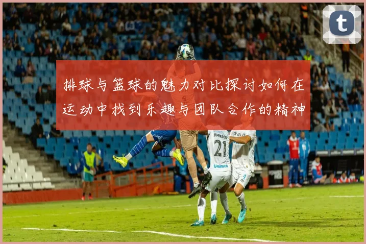 排球与篮球的魅力对比探讨如何在运动中找到乐趣与团队合作的精神