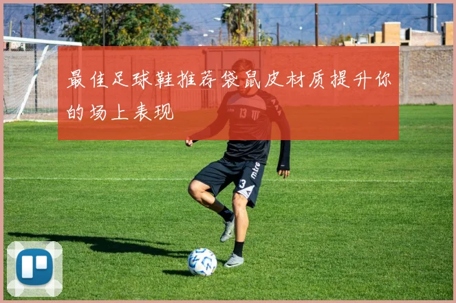 最佳足球鞋推荐袋鼠皮材质提升你的场上表现